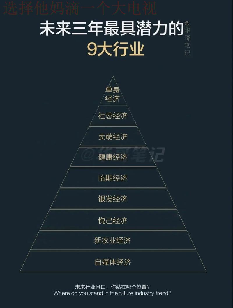 揭示千亿娱乐综合版的魅力与未来发展潜力 揭示千亿娱乐综合版的魅力与未来发展潜力
