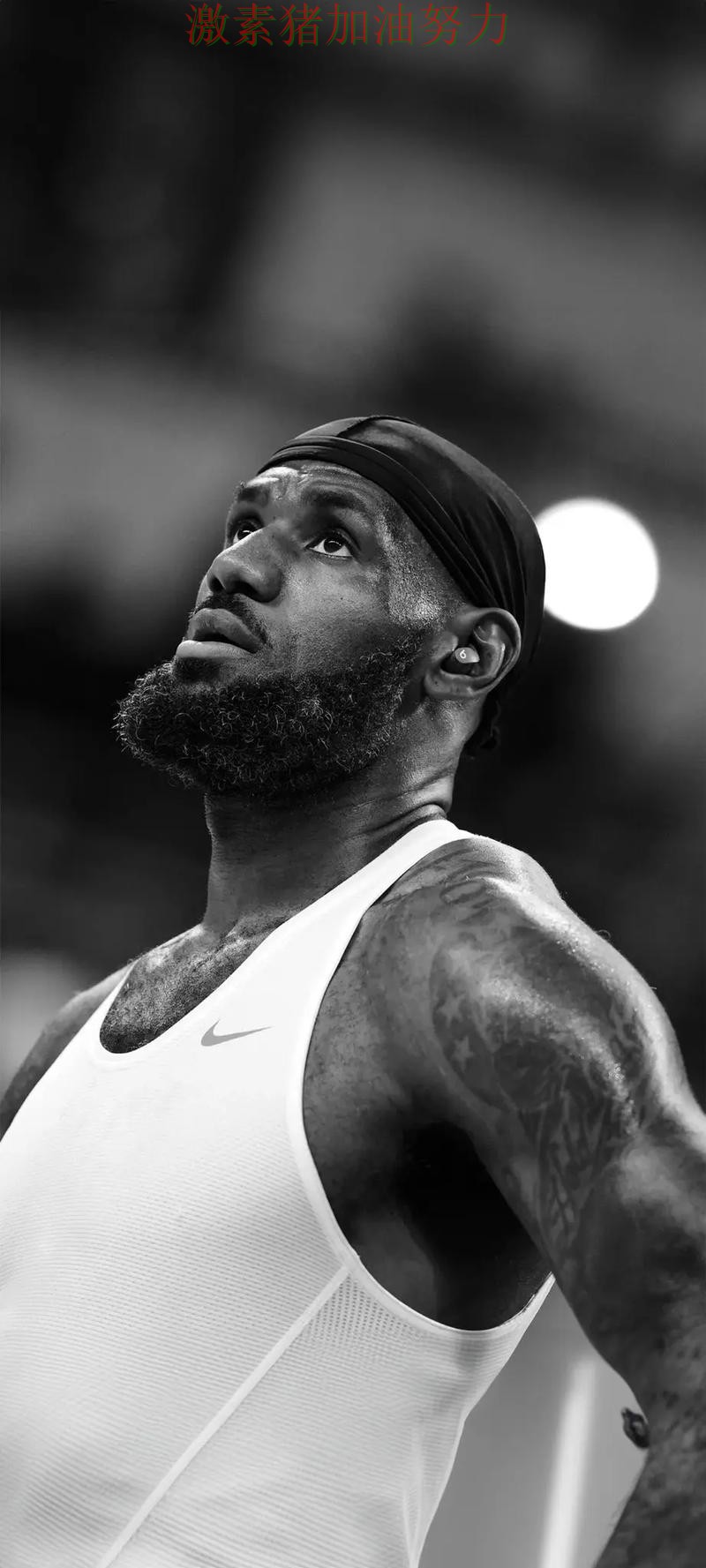 詹姆斯单场封神让球迷情绪瞬间拉满